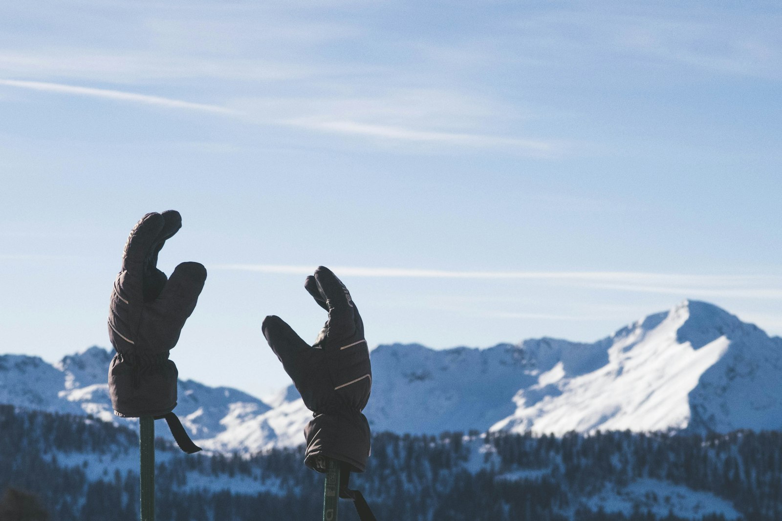 Winter Gloves