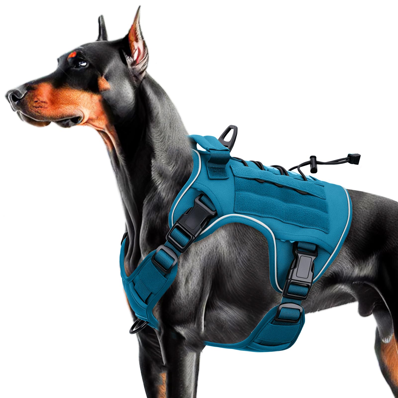 Tactical Dog Harness — Blue