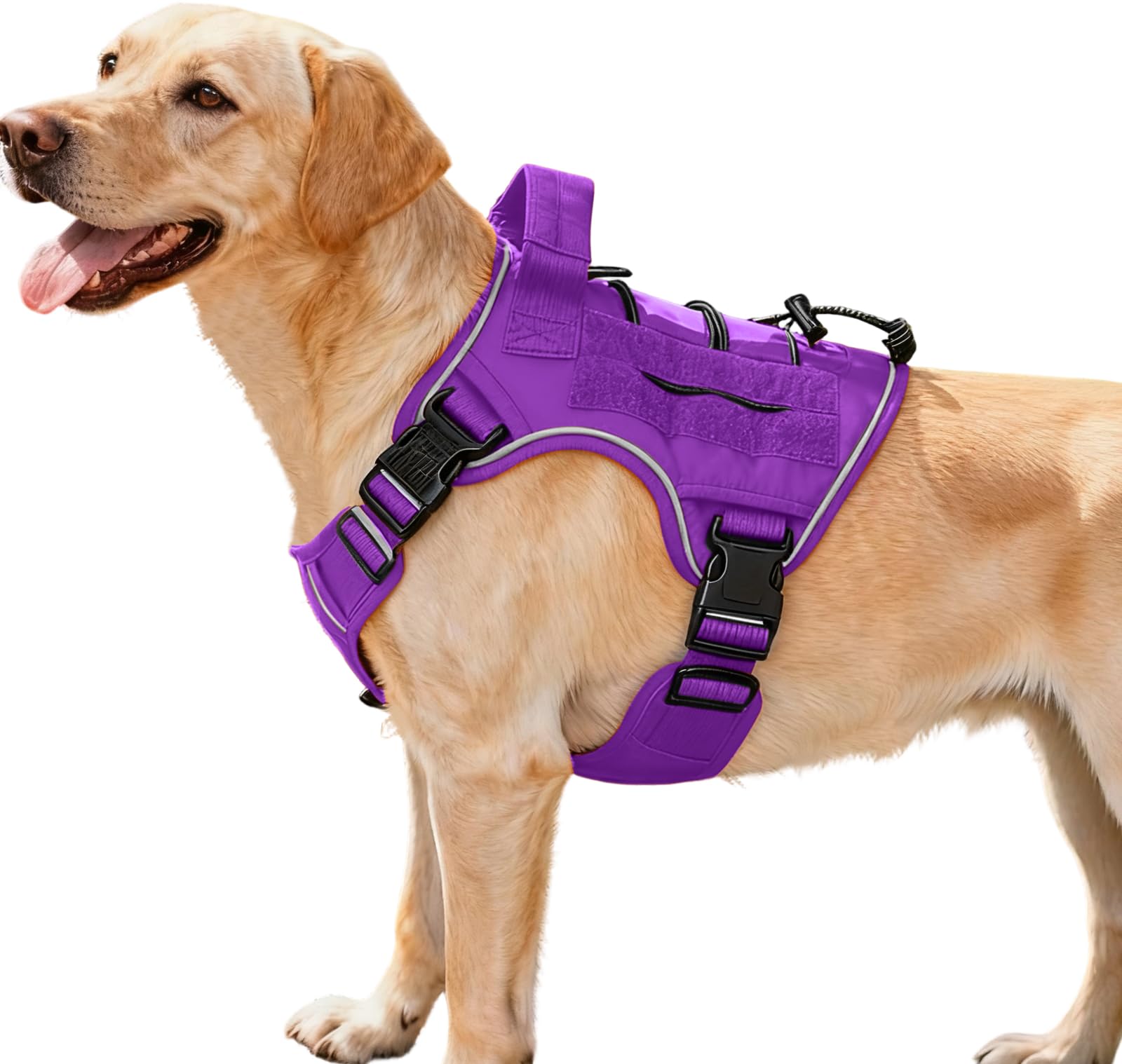 Tactical Dog Harness — Purple