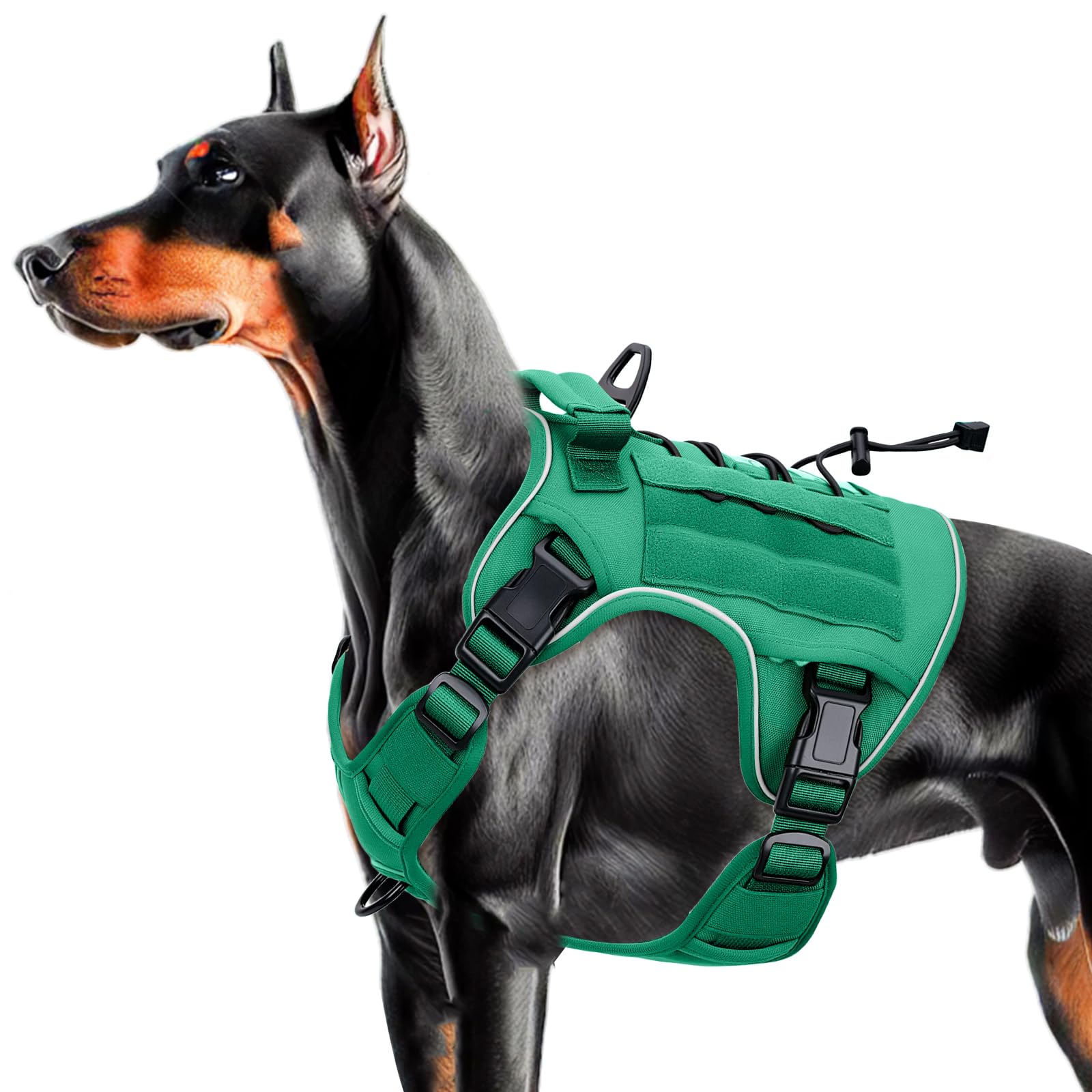 Tactical Dog Harness — Turquoise